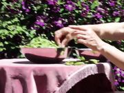 Doris Dawn - My Life In The Nude, Shelling Peas In The Nude