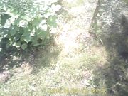 Doris Dawn - Rockin' Retro