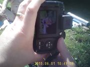 Doris Dawn - Rockin' Retro