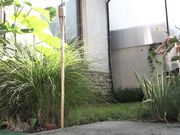 Doris Dawn - Stepping On The Morning Dew