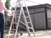 Doris Dawn - Up The Ladder