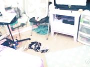 hayliexo - Cum All Over Me Daddy