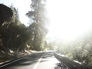 PureTaboo - Run Far Away - Haley Reed