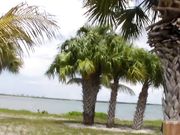 Suzie Q - Masturbation In Car