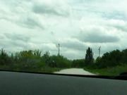 Suzie Q - Topless Driving And In The Park