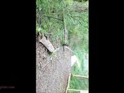  Kailey Ketchum  - Public Quickie Facial