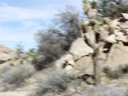 Emma Choice - Desert Nymph Seduction Sloppy POV BJ