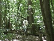 Lethal Lipstick - Buried Treasure