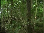 Lethal Lipstick - One Way Tickets