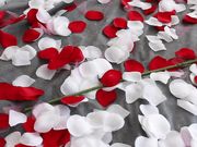 Octavia May - HD BE MINE