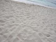 Haley420 - Public Bj On The Beach