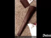 Filicia Vox - Archiving 2118 October 2016 Snap Comp