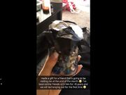 Filicia Vox - January 2017 Snapchat Compilation