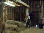 Kinkitv (PetGirls) - Greed is Good