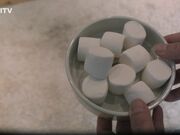 Kinkitv (PetGirls) - Hannah Catch