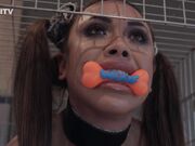 Kinkitv (PetGirls) - Hannah Dog Cage Training