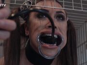 Kinkitv (PetGirls) - Hannah Dog Cage Training