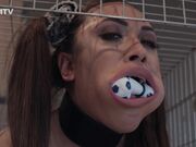 Kinkitv (PetGirls) - Hannah Dog Cage Training