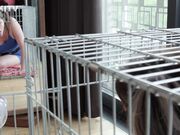 Kinkitv (PetGirls) - Holly Cage