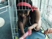 Kinkitv (PetGirls) - Mimi  Dog Caged