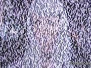 Mesmerised Dream Factory