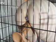 Kinkitv (PetGirls) - Posture Training