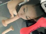 Kinkitv (PetGirls) - Tigerr Mindless