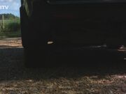 Kinkitv (PetGirls) - Tigerr Outdoor Walkies