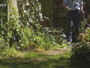 Kinkitv (PetGirls) - Tigerr Outdoor Walkies