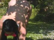 Kinkitv (PetGirls) - Tigerr Outdoor Walkies