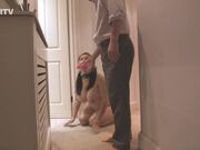 Kinkitv (PetGirls) - Tigerr Outdoor Walkies