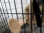 Kinkitv (PetGirls) - Valentina - Posture Cage