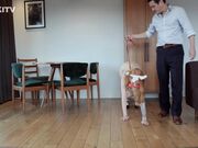 Kinkitv (PetGirls) - Alexa Leash Walk