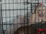 Kinkitv (PetGirls) - Cherry  At Home with the Bensons Part Two