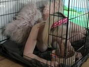 Kinkitv (PetGirls) - Cherry  At Home with the Bensons Part Two