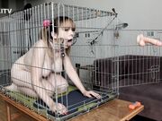 Kinkitv (PetGirls) - Cherry  Dog Cage