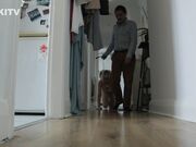 Kinkitv (PetGirls) - Cherry - Dog Food Feeding