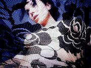 Feetfundoll - Lisa Dove - Lace Room