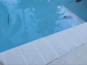  Hadley Viscara - Familytherapy -  Temporary Fix