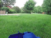 Lucy-Cat - MyDirtyHobby.com  Blowjob outdoor perfect body