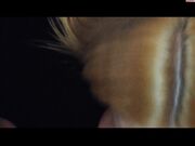 Lucy-Cat - MyDirtyHobby.com  Cumshot in face