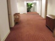 Lucy-Cat - MyDirtyHobby.com  Public Anal Sex