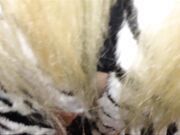 Lucy-Cat - MyDirtyHobby.com  She beg me for cum inside her