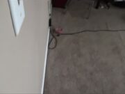  Natalia Starr - Familytherapy -  The Private Show