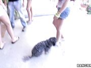 Abbey Brooks, Jackie Daniels, Carmen McCarthy - FuckTeamFive.com - Cruising for Cock!