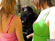 Tara Lynn Foxx, Katie Summers, Rebecca Blue - FuckTeamFive.com -  Not Monkeying Around!