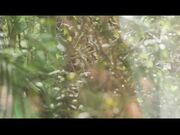  Elle Alexandra & Malena Morgan - Sex Art - Under The Elle Tree 