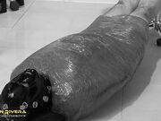 Carmen Rivera Entertainment - Rubber Special - Chapter Three - Carmen Rivera, Gummi-Objekt