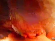 DickForLily - Balcony Fucked in a Tight Young Pussy - Blowjob from Teen Girlfriend