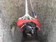 Wanilianna - A bondage dream